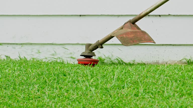 Best Lawn Grading and Leveling  in Dilley, TX