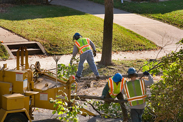 Best Lawn Watering Services  in Dilley, TX